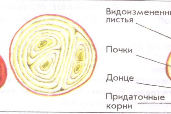 Kraken ссылка зеркало официальный