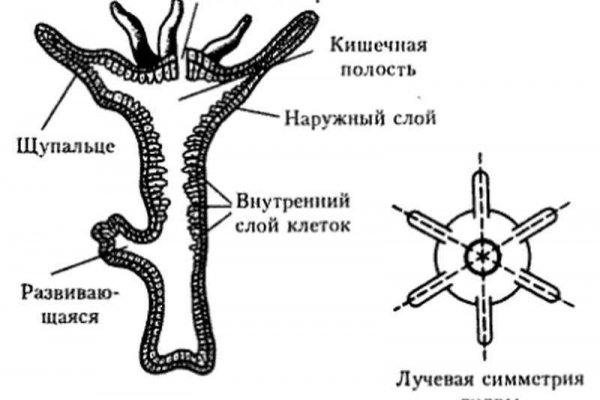 Даркнет москва