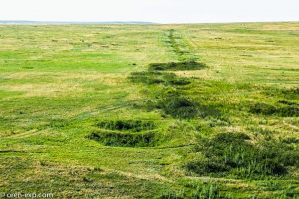 Кракен актуальные