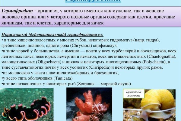 Кракен лучший маркетплейс