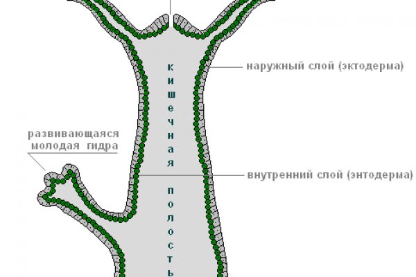 Kra36.at