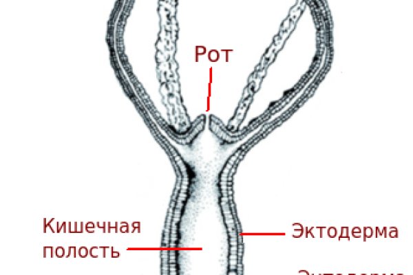 Kra44.at
