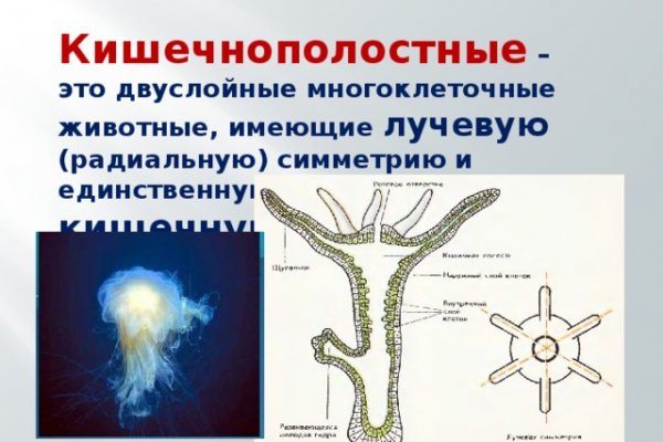 Кракен магазин нарков