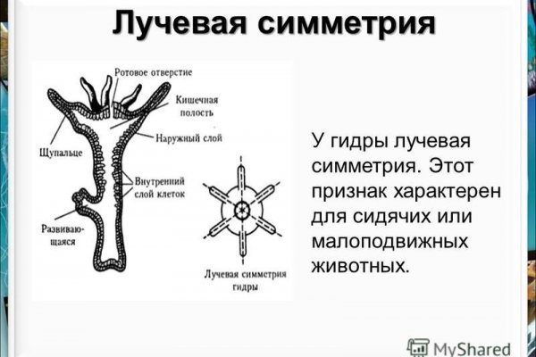 Кракен маркет даркнет скачать