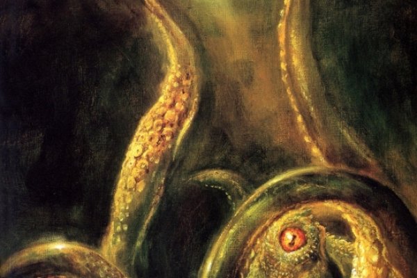 Kraken forum