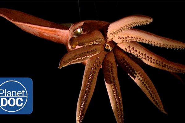 Kraken 18at зеркало